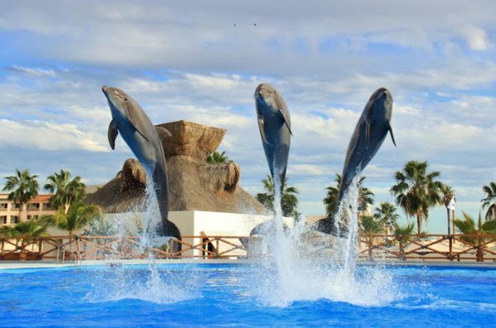 Hostal Las Quintas San José del Cabo Kültér fotó